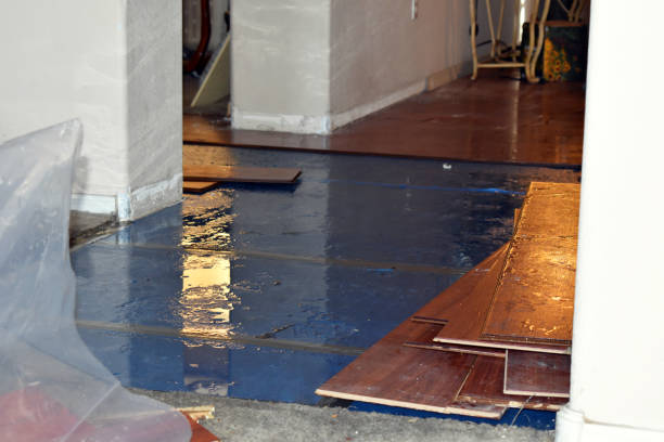 Professional Burst Pipe Cleanup technician working in Wildomar, CA